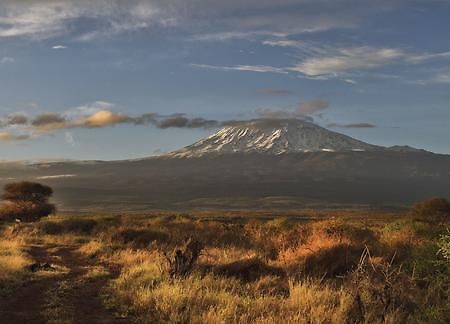 Elerai Camp Hotel Amboseli Bagian luar foto