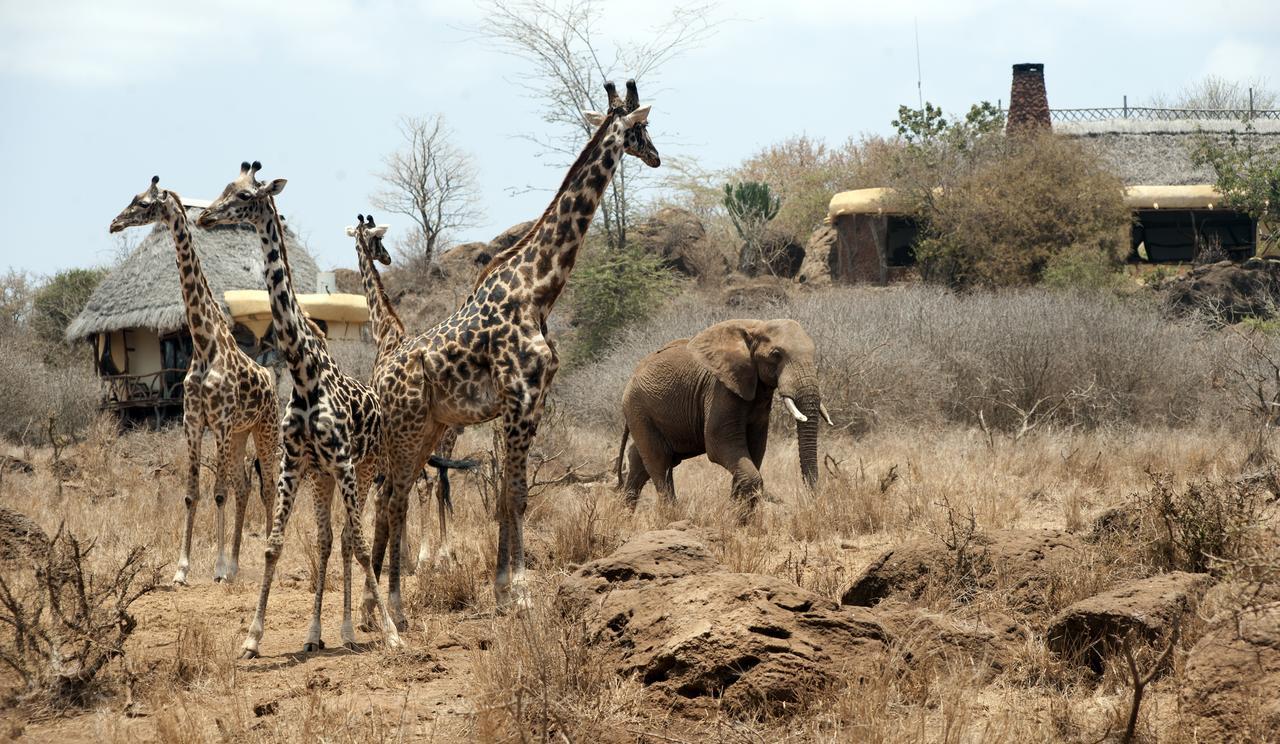 Elerai Camp Hotel Amboseli Bagian luar foto