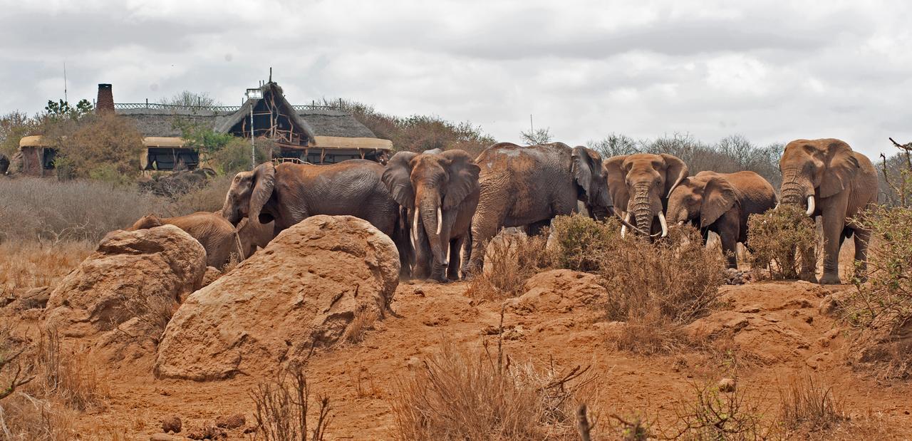 Elerai Camp Hotel Amboseli Bagian luar foto